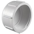 Charlotte Pipe And Foundry Charlotte Pipe & Foundry PVC021172200 3 in. PVC Sch 40 Cap 4007068